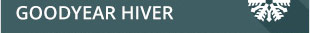 GOODYEAR HIVER