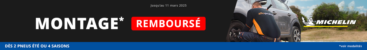 PNEU MICHELIN PAS CHER visual data 6