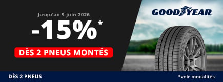 Promo pneu pas cher allopneus goodyear